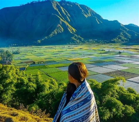 Destinasi Adventure yang Populer di Indonesia: Tips Berkunjung ke Desa Sembalun